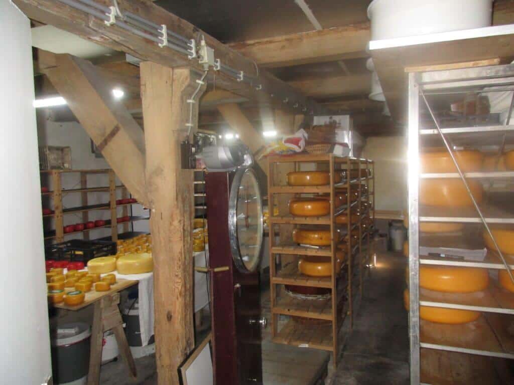 Inside a traditional cheese farm near Zoeterwoude in the Netherlands, showcasing rows of aging Gouda cheese wheels on wooden shelves. The rustic setting with rough wooden beams and farming equipment reflects the authentic Dutch cheese-making process.