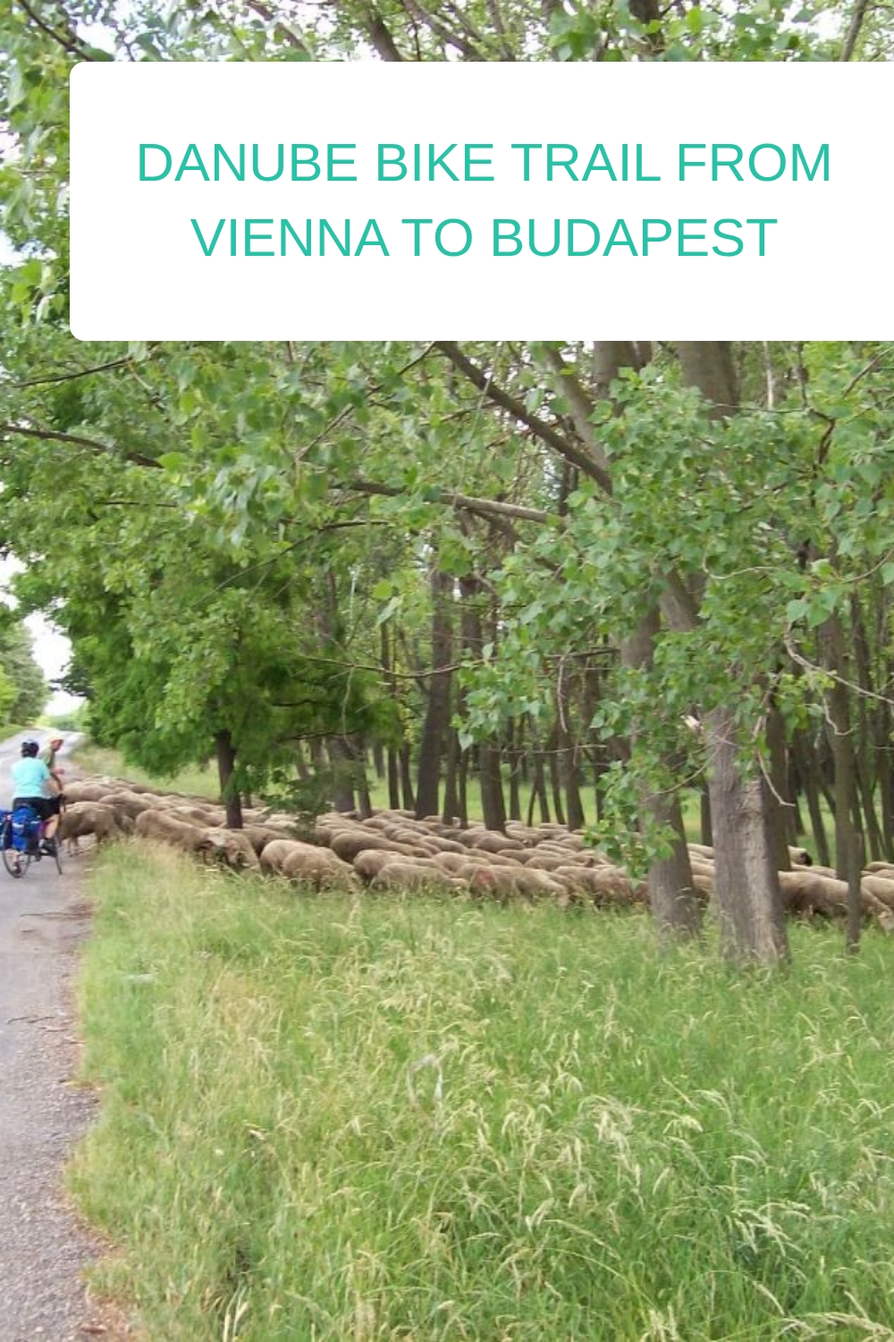 Danube Bike Trail from Vienna to Budapest generated pin 809