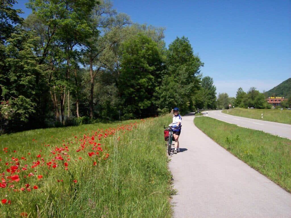 A cyclist on the Danube cycling route leaving Passau, traveling alongside a vivid field of red poppies and lush greenery, with a clear blue sky overhead.