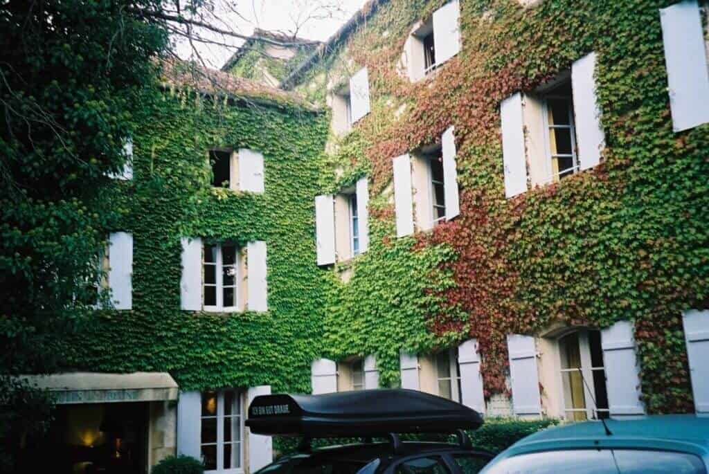 The facade of Hotel Le Moulin De La Beune in Les Eyzies is adorned with dense ivy, turning red and green with the seasons, blending the charming architecture with nature
