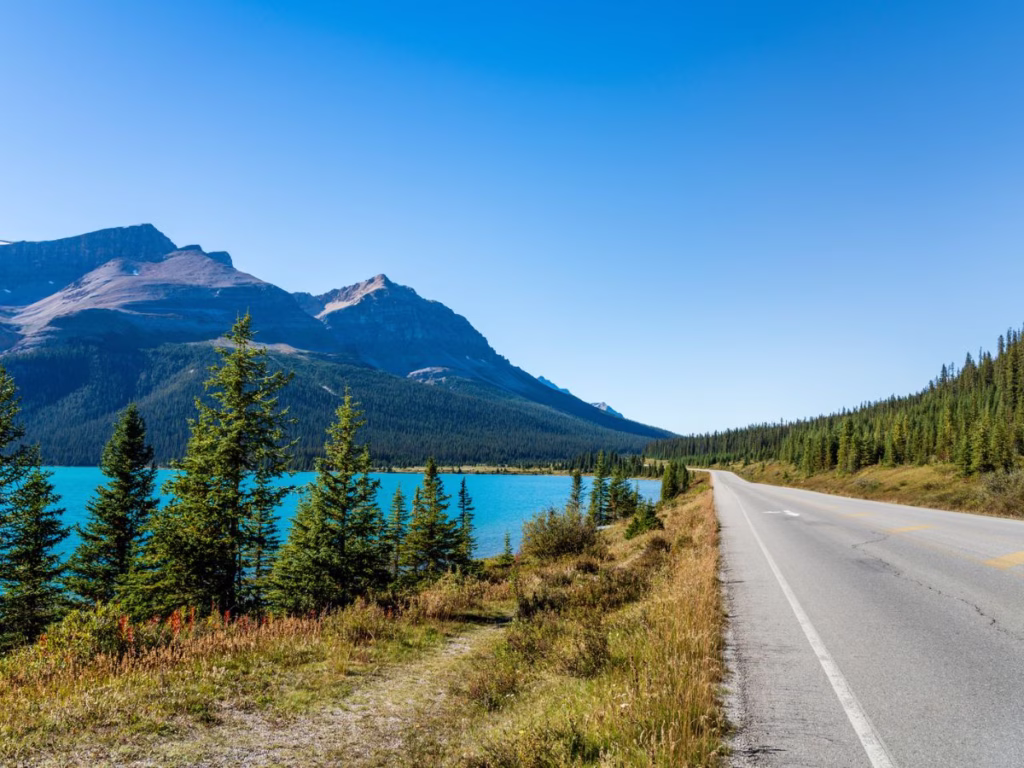 Icefields Parkway near Bow Lake in Banff National Park