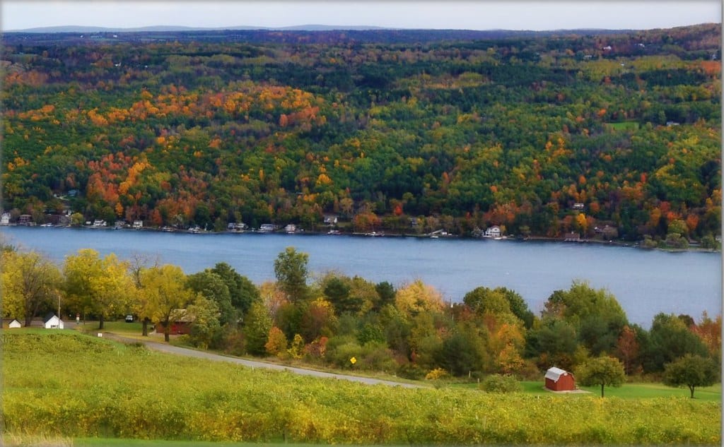 A vibrant panoramic view of Keuka Lake in the Finger Lakes region, New York, captured during autumn. The lake is bordered by vividly colored trees in shades of orange, yellow, and green, with scattered houses nestled along the shoreline. Rolling hills and a small red barn in the foreground add to the picturesque rural charm of this popular scenic destination