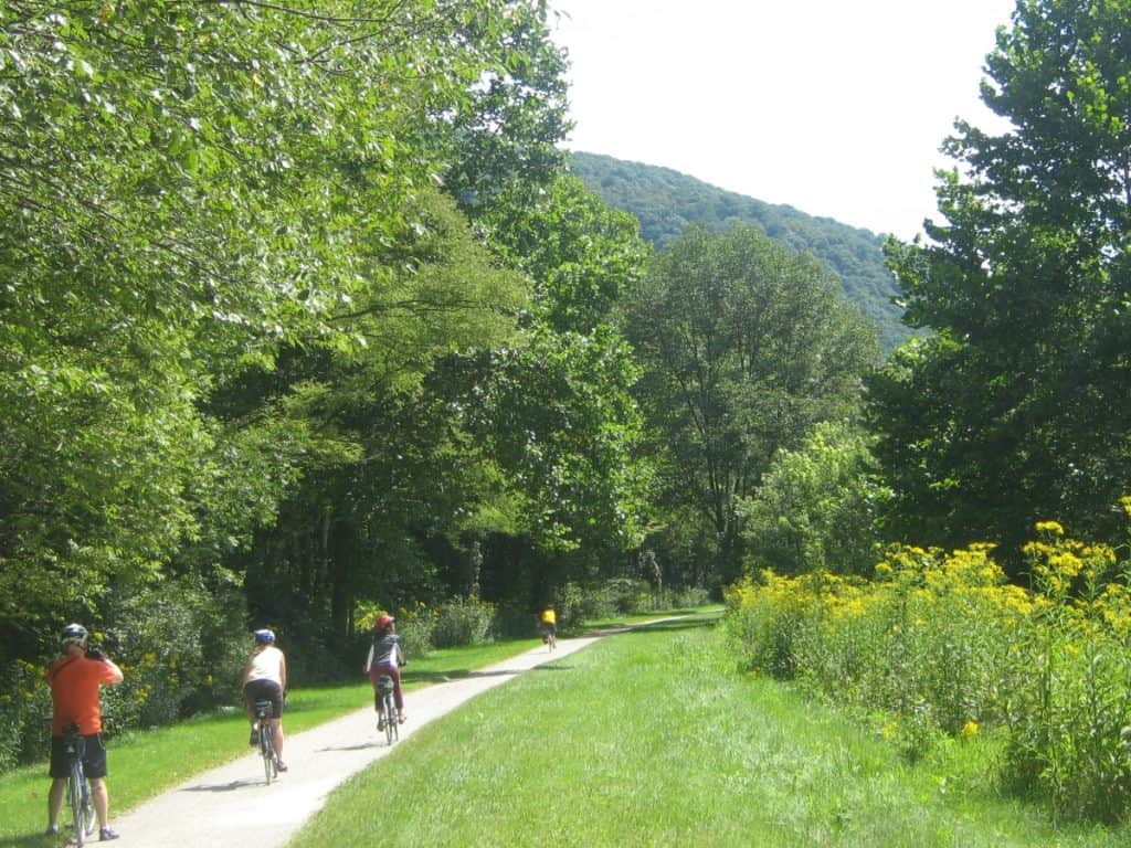 A group of cyclists on a sunny day on the Great Allegheny Passage trail near Ohiopyle, with the path flanked by vibrant green trees and a meadow of yellow wildflowers.