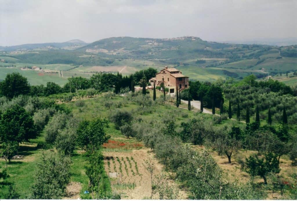 A picturesque view of Southern Tuscany featuring rolling hills, a variety of greenery with olive trees, and a traditional Tuscan house with a terracotta roof surrounded by lush vegetation.