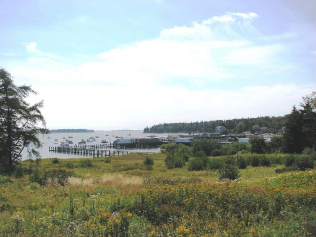 View of Lighthouse Road along the Maine coast, featuring a tranquil harbor dotted with boats, a wooden pier, and a lush meadow with wildflowers under a partly cloudy sky