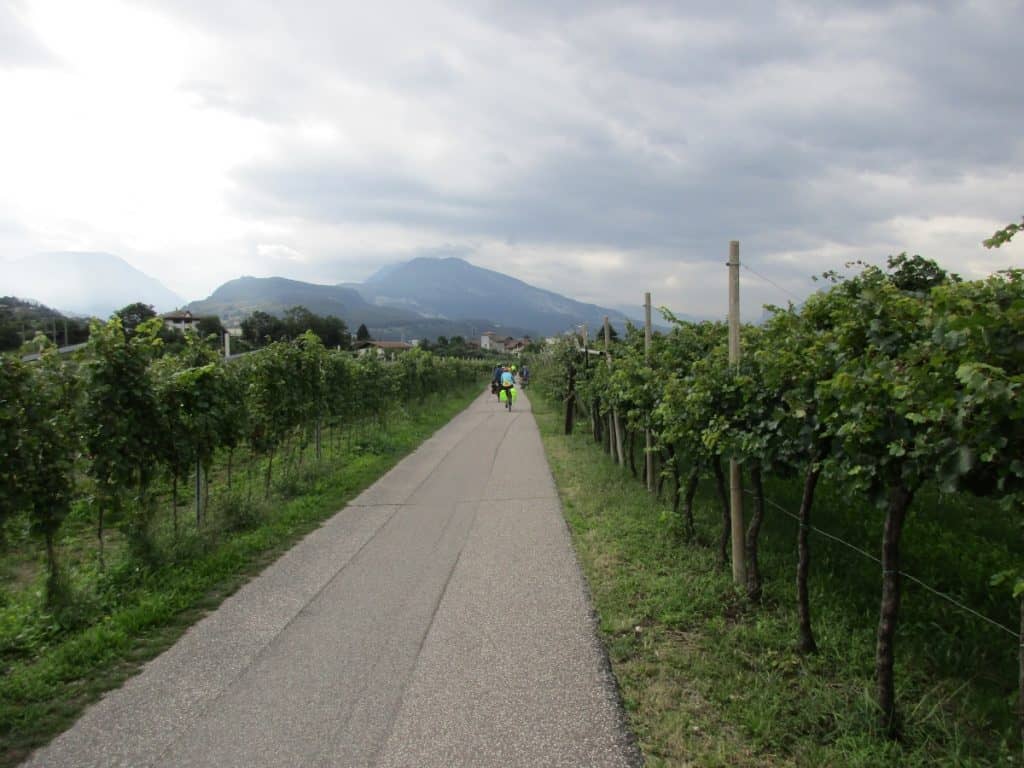 This image features a tranquil cycling path near Rovereto, Italy, on the Adige bike route. The path cuts through lush vineyards with rows of grapevines stretching on either side, leading towards distant mountains under a cloudy sky. Cyclists in colorful attire can be seen enjoying their ride along the smooth, paved road, surrounded by the picturesque rural landscape.