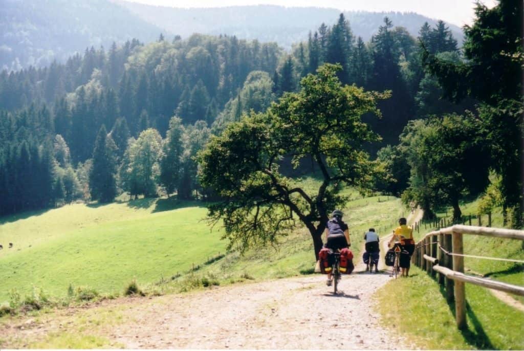 Cyclists with loaded bikes on a peaceful downhill path along Germany's Bodensee to Königssee Bike Route, surrounded by lush green meadows, dense forests, and a serene ambiance,