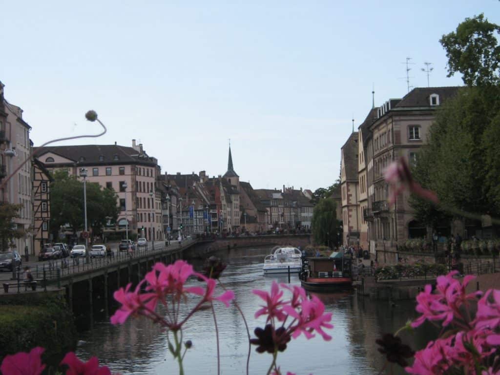 A view of the Petit France quarter in Strasbourg, with traditional half-timbered buildings lining the calm waters of the canal. Pink flowers in the foreground add a pop of color to the serene urban landscape, while a church spire rises in the distance against the soft light of a cloudy sky.