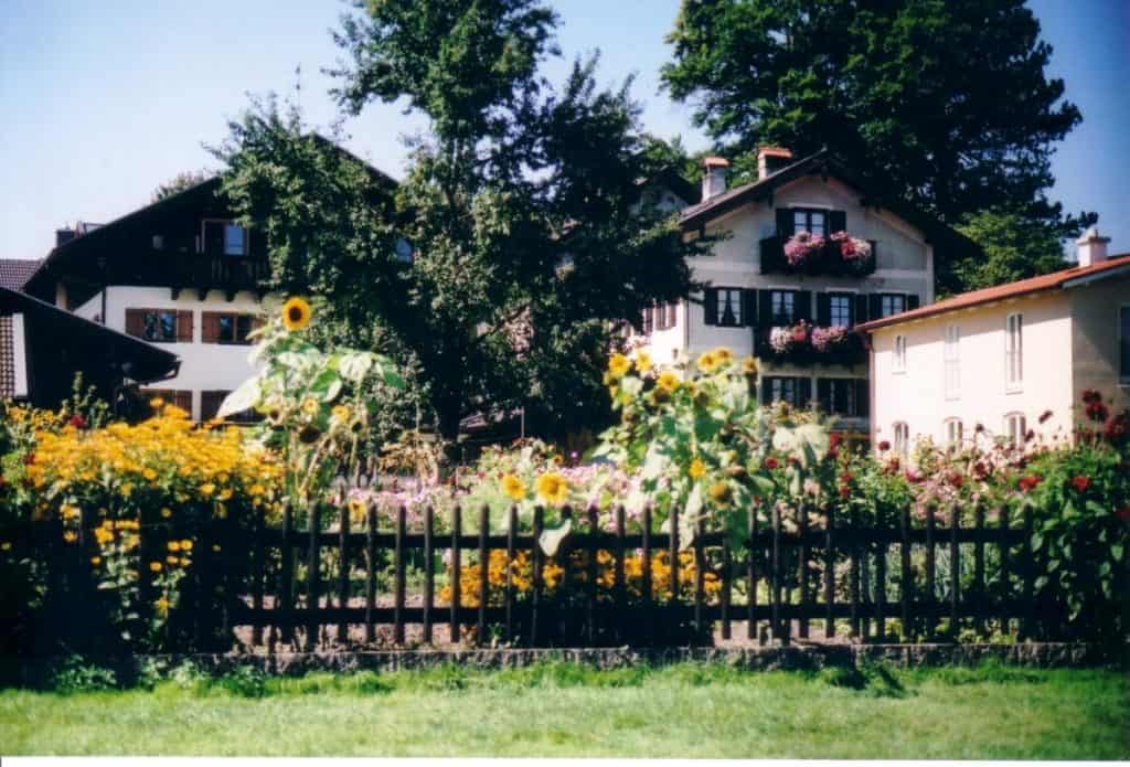 Colorful garden filled with sunflowers and assorted blooms on Frauenchiemsee Island, Germany, with charming Bavarian houses adorned with window boxes in the background