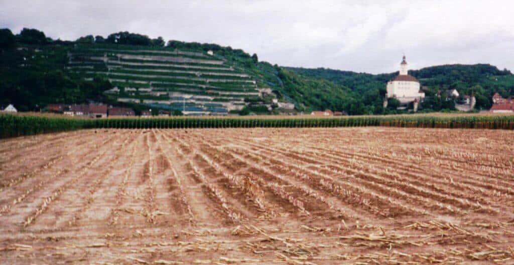 A panoramic view of a recently harvested field with a backdrop of terraced vineyards climbing up a hillside in Neckar Valley, Germany. In the distance, a large white building with a prominent dome stands out, nestled among lush greenery.
