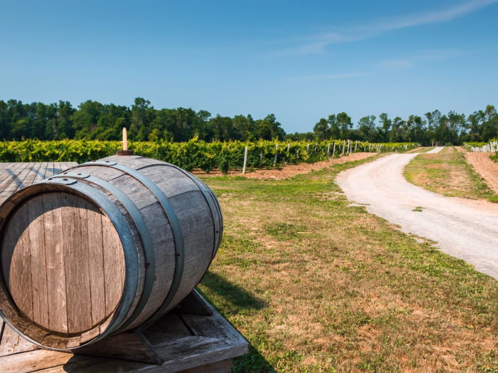 Winery in Prince Edward County