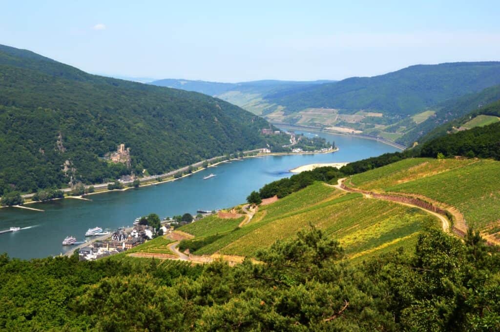 A panoramic view of the Rhine River near Rudesheim, Germany, featuring terraced vineyards in the foreground, a small village with docked boats, and a castle nestled on the lush green hillside.