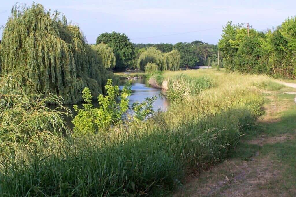 Serene view from Hotel Panorama in Mosonmagyarovar featuring a gentle river curving through a lush landscape adorned with weeping willows and dense reeds. The scene is captured on a bright day, with a narrow path hugging the riverbank